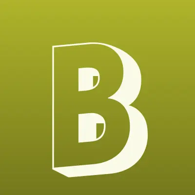 Быт сервис ДВ, монтажная компания, лого-визитка
