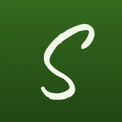 Стандарт Телеком, лого-визитка