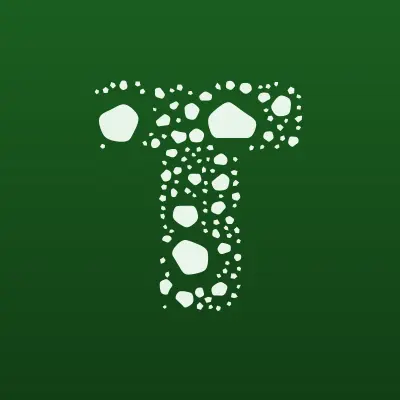 ТРАФФИК-ДВ, транспортная компания, лого-визитка