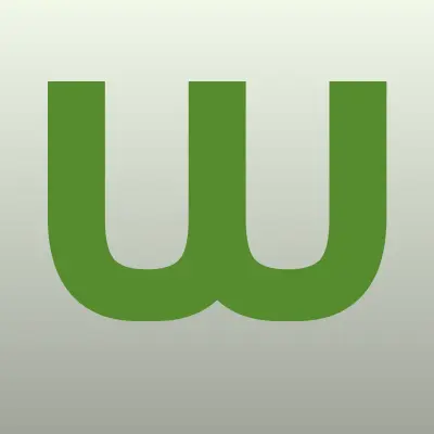 WEB Экспертиза, лого-визитка